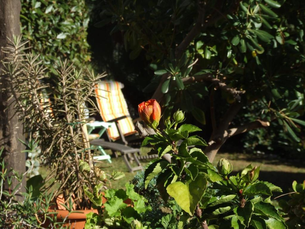 La Masa Ξενοδοχείο Èze Εξωτερικό φωτογραφία